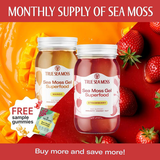 True Sea Moss Premium Sea Moss Gel Bundles with Gift - Wildcrafted Irish Sea Moss Gel - Rich in Minerals & Vitamins - Supports Immune, Improves Digestion, Boosts Energy, Skin & Hair Health - Made in USA - Healthcare